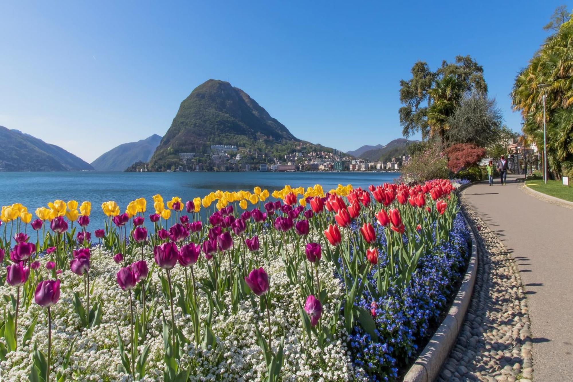 Love Of Lugano - Happy Rentals Exterior foto